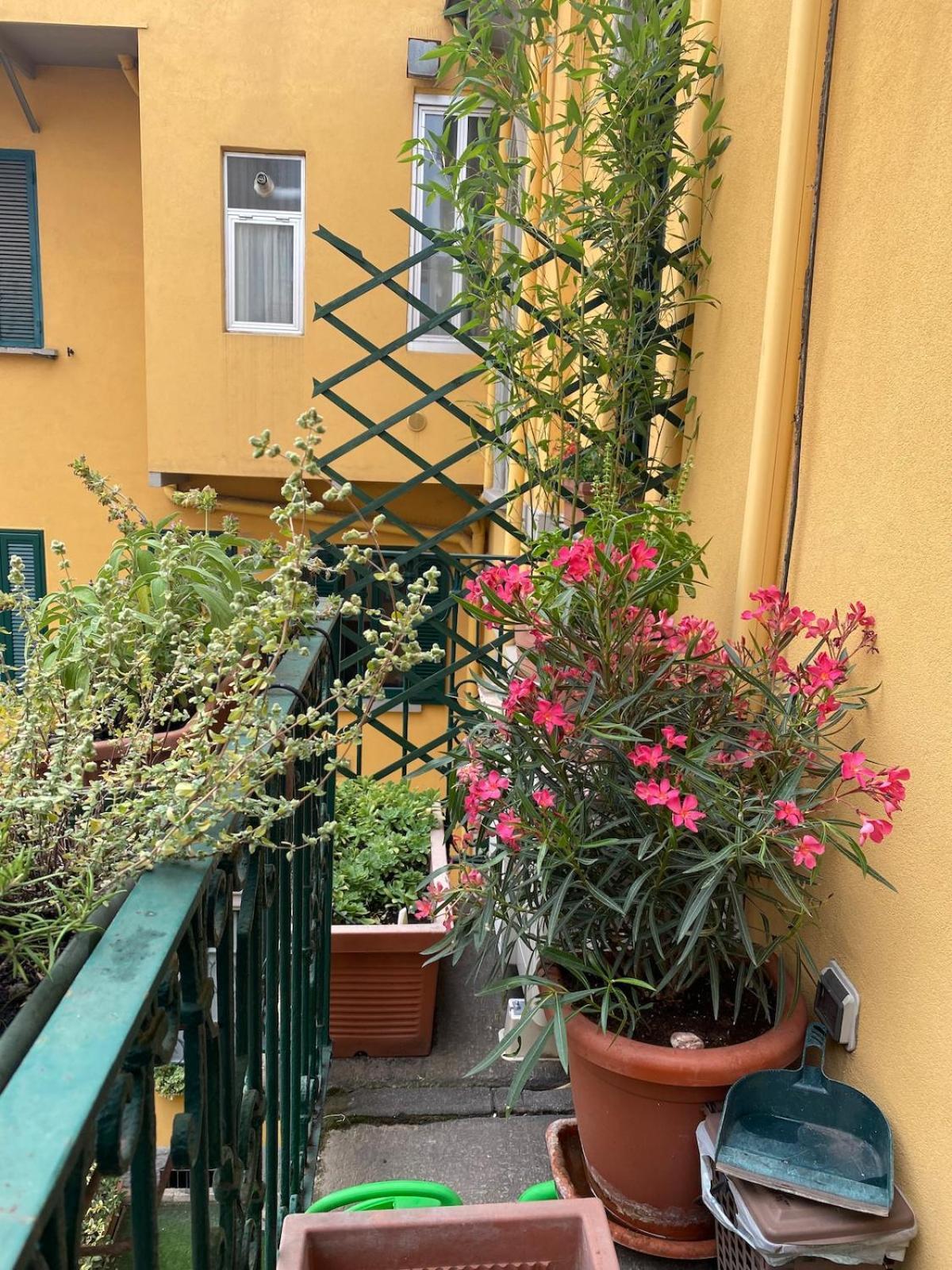 Adalbert House On 2 Levels Apartment